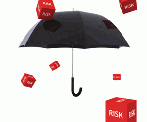 An introduction to project risk management – the processes